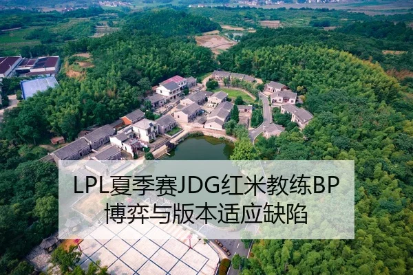 LPL夏季赛JDG红米教练BP博弈与版本适应缺陷