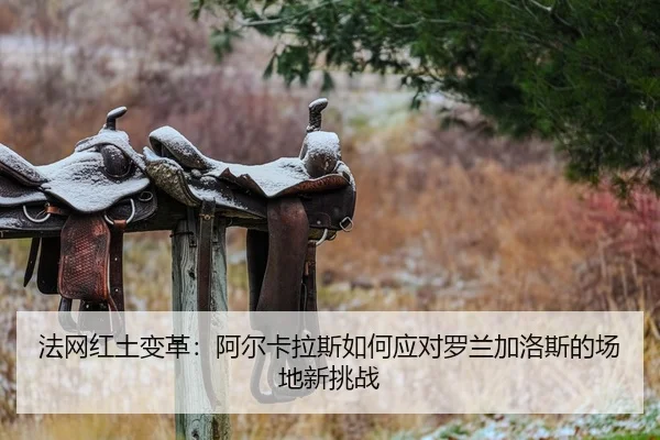 fa-wang-hong-tu-bian-ge-a-er-ka-la-si-ru-he-ying-dui-luo-lan-jia-luo-si-de-chang-di-xin-tiao-zhan-2-951.jpg