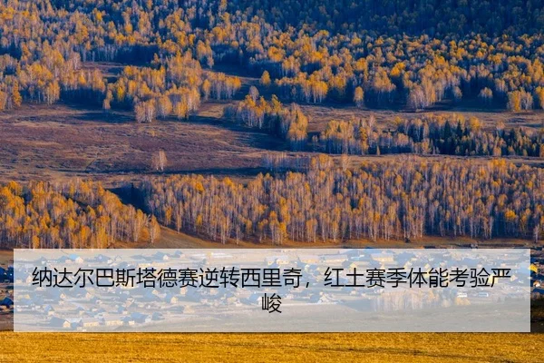 na-da-er-ba-si-ta-de-sai-ni-zhuan-xi-li-qi-hong-tu-sai-ji-ti-neng-kao-yan-yan-jun-2-217.jpg