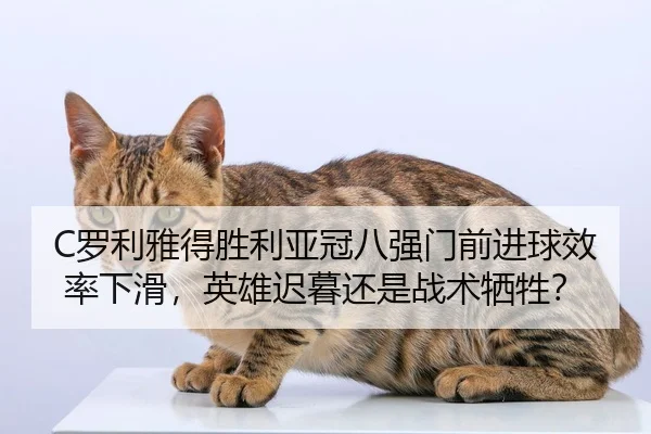 C罗利雅得胜利亚冠八强门前进球效率下滑，英雄迟暮还是战术牺牲？