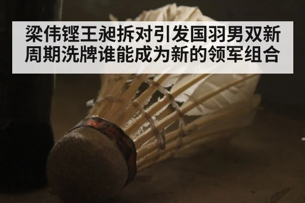 梁伟铿王昶拆对引发国羽男双新周期洗牌谁能成为新的领军组合